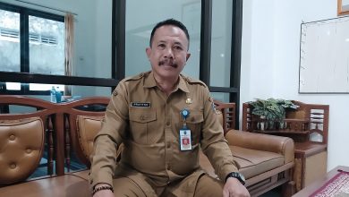 Kepala Dinas Koperasi, Usaha Mikro dan Perindustrian Pacitan, Prayitno.