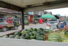 Buah semangka tak begitu laku saat musim penghujan.
