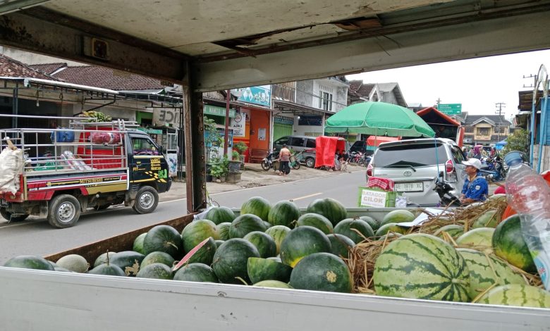 Buah semangka tak begitu laku saat musim penghujan.