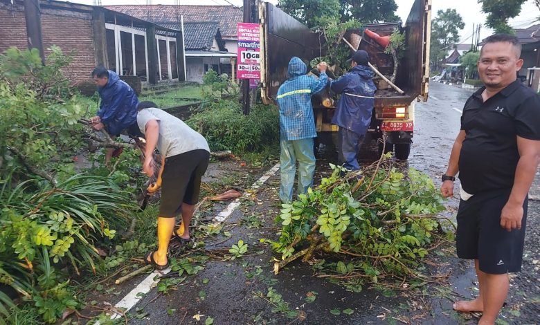 DLH Pacitan, sat, set, wat, wet, evakuasi pohon tumbang.