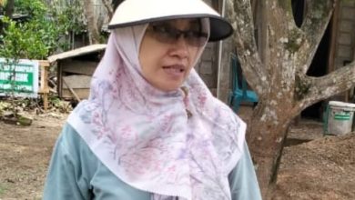 Kepala DLH Pacitan, Hj. Cicik Ruhdotul Jannah.