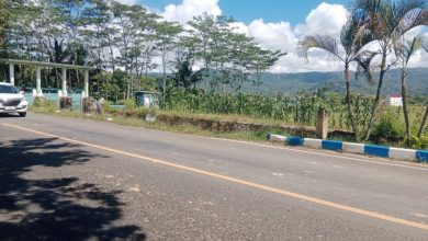 Ceceran tanah liat yang mengering dan menimbulkan debu.
