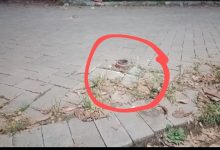 Lubang dilingkaran merah sebagai saksi bisu, dulu pernah ada pemasangan portal.