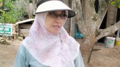 Kepala Dinas Lingkungan Hidup Pacitan, Cicik Rudlotul Jannah.