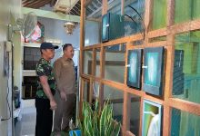 Staf Ahli Bupati Pacitan, Bidang Pembangunan, Ekonomi dan Keuangan, Prayitno, saat meninjau penangkaran Murai Batu.