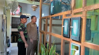 Staf Ahli Bupati Pacitan, Bidang Pembangunan, Ekonomi dan Keuangan, Prayitno, saat meninjau penangkaran Murai Batu.