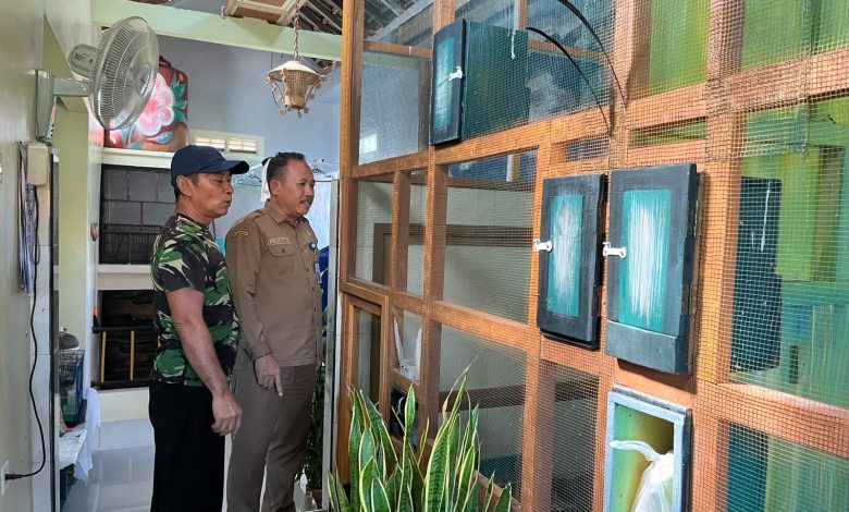 Staf Ahli Bupati Pacitan, Bidang Pembangunan, Ekonomi dan Keuangan, Prayitno, saat meninjau penangkaran Murai Batu.
