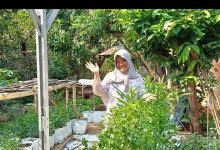 Kepala Bagian Pemerintahan dan Kerjasama, Setda Pacitan, Hesti Suteki.