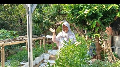 Kepala Bagian Pemerintahan dan Kerjasama, Setda Pacitan, Hesti Suteki.